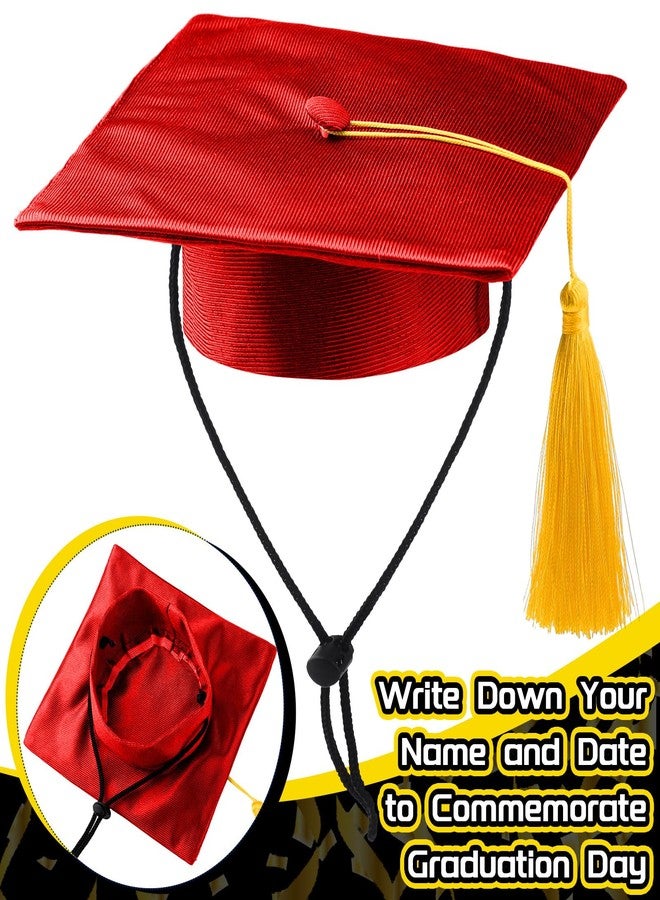 Bunnycool Dog Graduation Cap and Gown 2026 Washable Pet Graduation Costume for Dog Cat Shirt and Hat(Traditional,Marnoon,M) - Image 3
